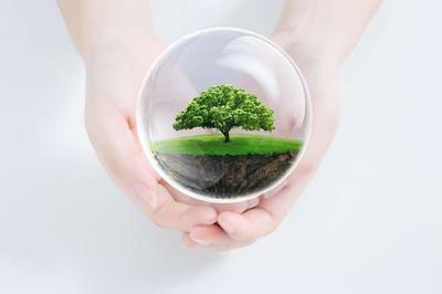 合格供應商綜合實力評價認證證書-快速辦理 認監委網站查詢